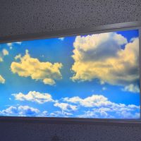 Gallery Photo of Skies are always blue in this office