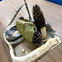 Gallery Photo of Exploring nature and using natural resources in sessions, enable us to connect to our inner strength and thoughts, in a safe therapeutic environment. 
