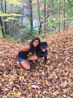 Gallery Photo of My Rottweiler's name is Dante and he is a certified Therapy Dog and my running buddy.