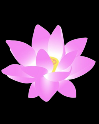 Photo of Amy Kotarski - Illuminate Wellness Counseling & Psychiatry, PMHNP, LMHC, LCSW