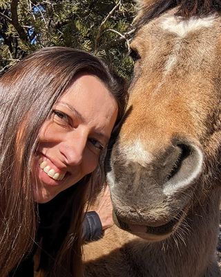 Photo of Annette Pelletier - Mustang Magic Equine Therapy Services , LCSW, Clinical Social Work/Therapist