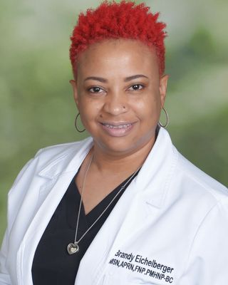 Photo of Brandy Eichelberger, Psychiatric Nurse Practitioner in Lakeview, IL