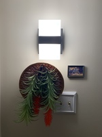 Gallery Photo of Be Well Counseling is located downstairs in the office building. If you see this on the wall, you're heading in the right direction.