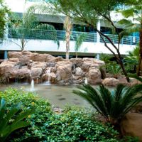 Gallery Photo of Our clients will be greeted by a lush oasis of tranquility within our complex.