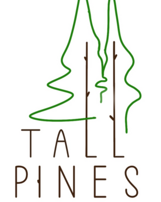 Photo of Erin Johnson - Tall Pines Therapy, Clinical Social Work/Therapist, LCSW, RPT