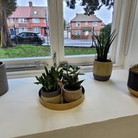 Gallery Photo of Being an outdoor person, I love some plants in the room
