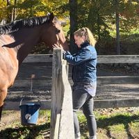 Gallery Photo of In my spare time, I volunteer at a Rising Starr rescue farm. Depending on the needs, I might do healing touch grooming, Reiki, or simply sit with them