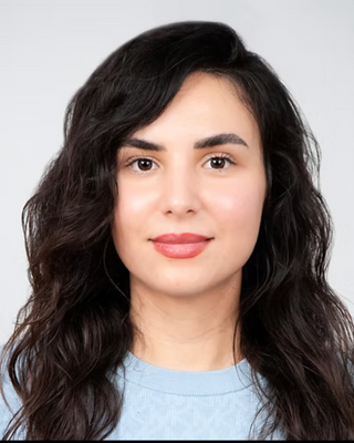 Photo of Aysan Jahankhah, Pre-Licensed Professional