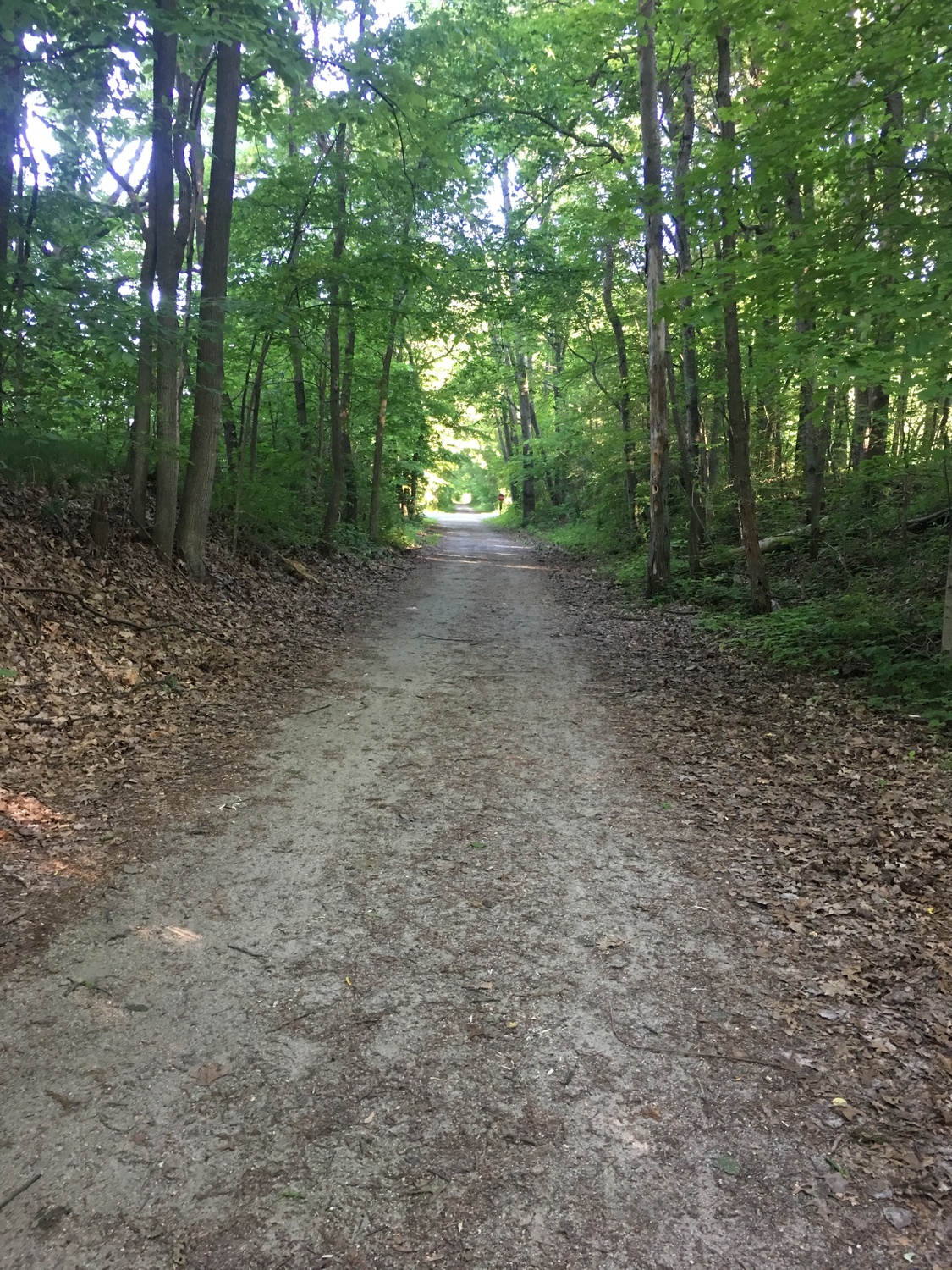 Phyllis Florian, Psychologist, Kalamazoo, MI, 49008 Psychology Today