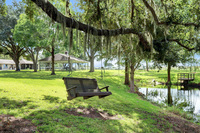 Gallery Photo of Pond Tree Swing