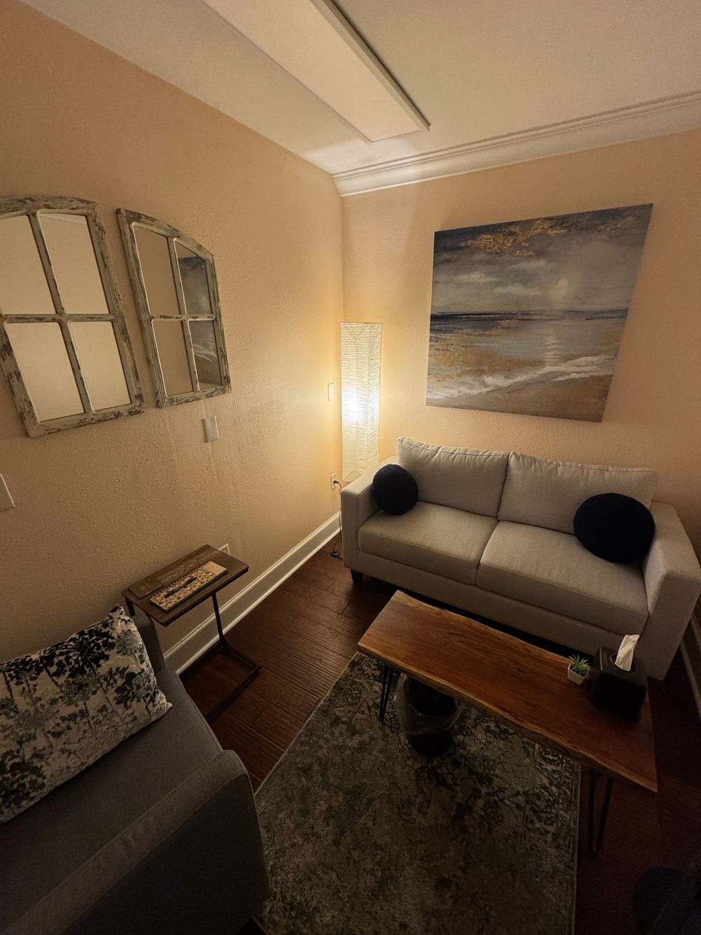 This is the in-person office space we would be working from! If deemed necessary, there are larger office spaces that can be utilized.