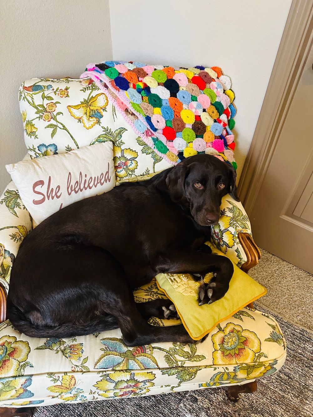 Meet Ruthie- often found snoozing behind the scenes during virtual sessions. 