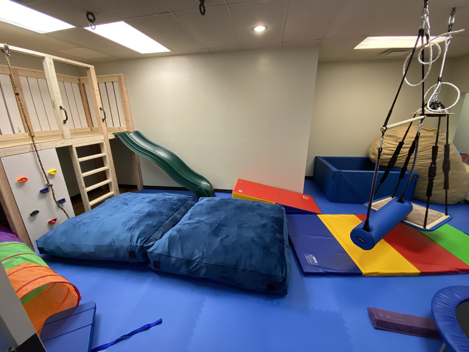 DH Therapy LLC, Occupational Therapist, Atlanta, GA, 30338 Psychology