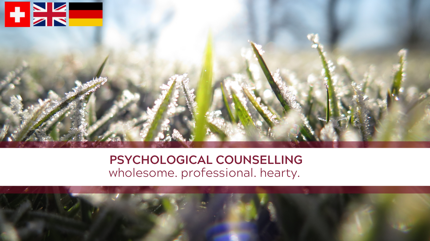 Gallery Photo of Counselling in English, German or Swiss German