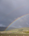 Photo of Benny R Martin, Psychologist in San Luis Obispo, CA