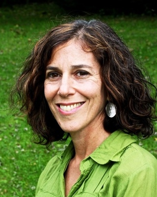 Photo of Judith Pomerantz, Clinical Social Work/Therapist in Sheffield, MA