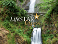 Photo of LifeStar Oregon, Licensed Professional Counselor in Beaverton, OR