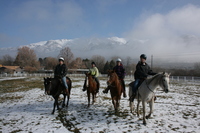 Gallery Photo of Equine Horse Therapy year round