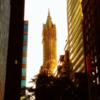 Gallery Photo of Psychology Today Office in New York - evening along Park Ave