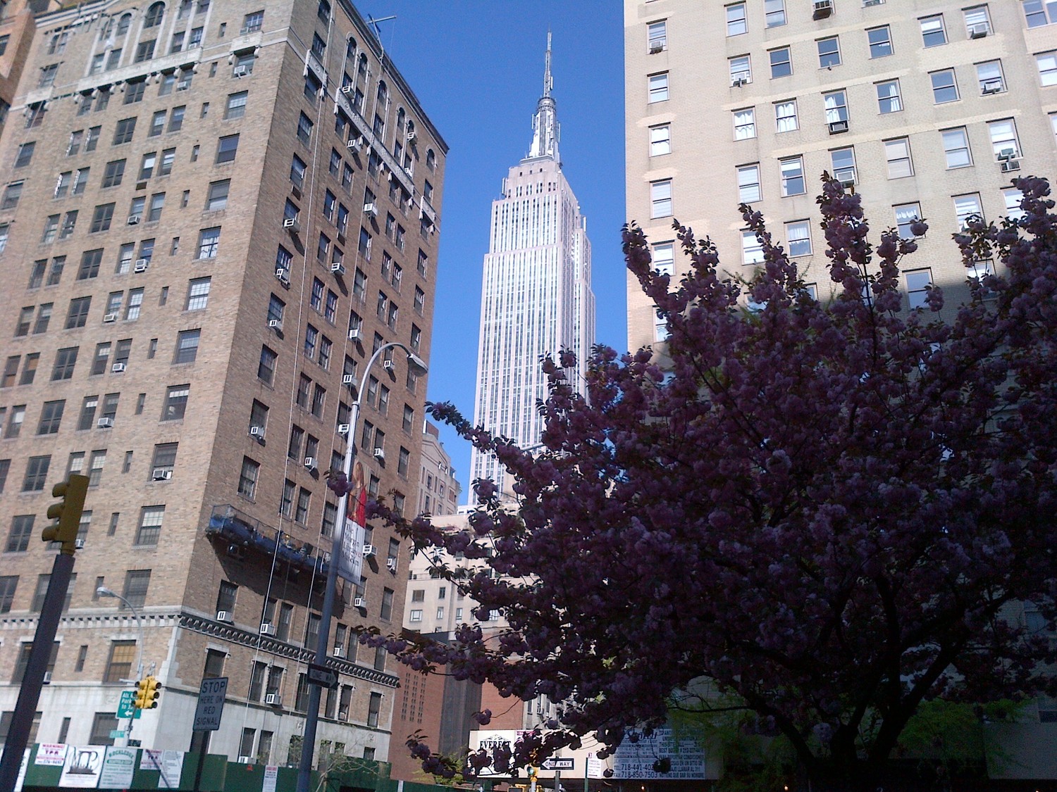 Gallery Photo of Near the PT Office in New York - Spring