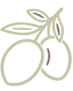 Olive Branch Counseling Services