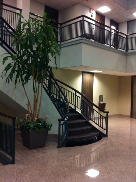 Gallery Photo of Lobby of our office, 5959 West Loop South. Plants love that atrium. You can take the stairs or elevator to Suite 230 (seen in the upper right).