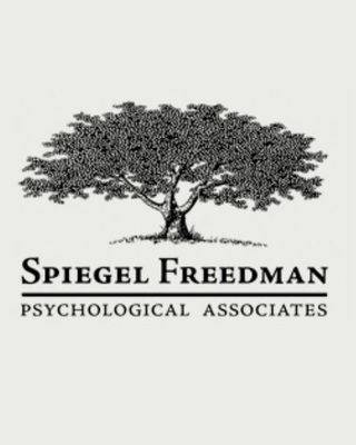 Photo of Spiegel Freedman Psychological Associates, Psychologist in Pittsburgh, PA