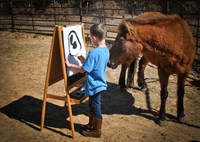 Gallery Photo of Equine-Partnered Play Therapy