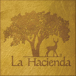 La Hacienda's Solutions