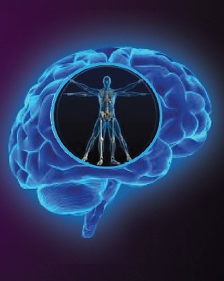 Photo of Brain Integration Therapies - Janet L. Wisinger, Licensed Professional Counselor in Seattle, WA