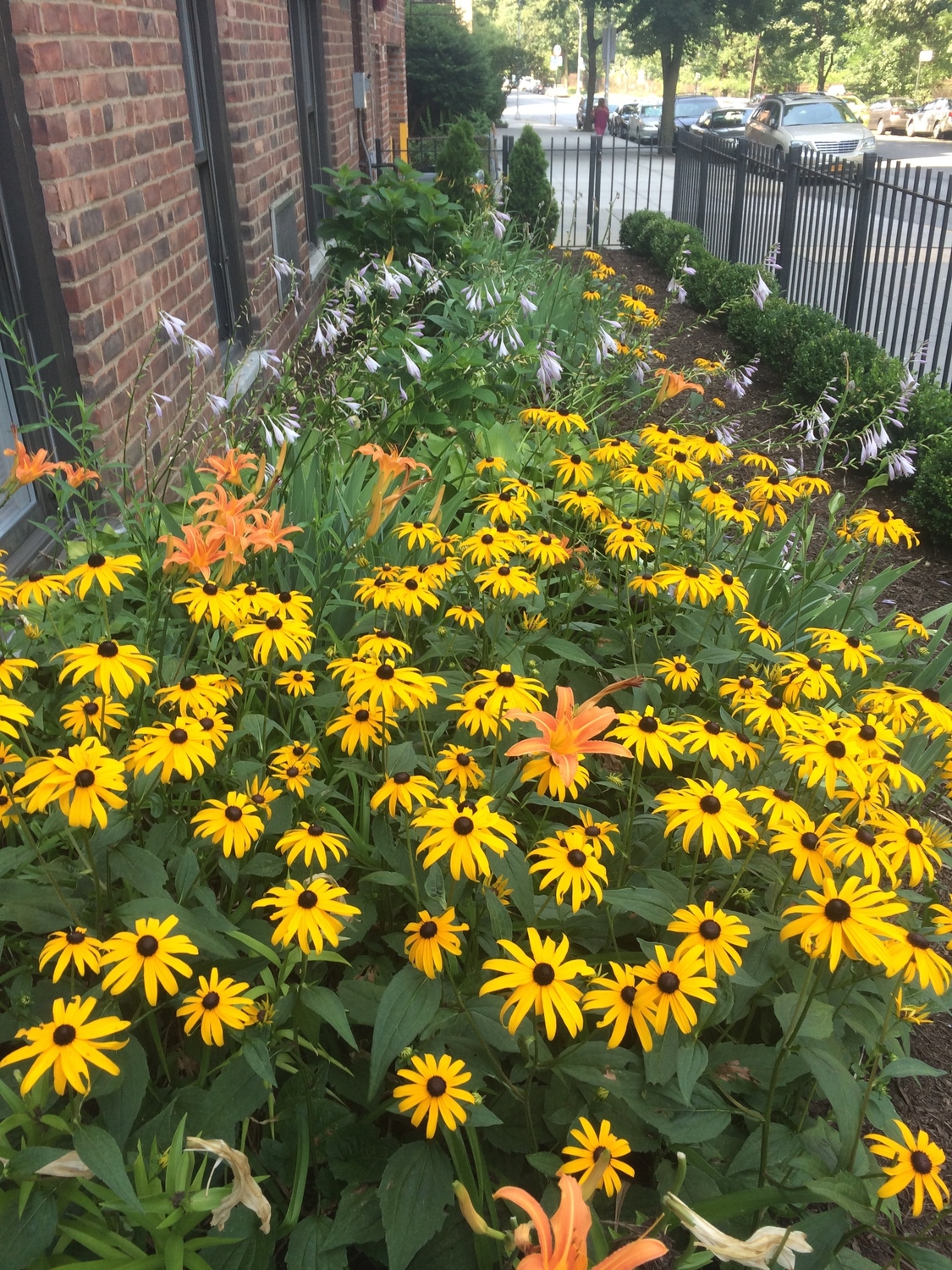 Comprehensive Counseling LCSWs, Bronx Office, Treatment Center, Bronx, NY, 10467 Psychology Today