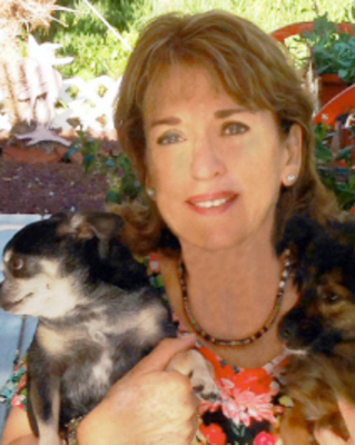 Photo of Ellen Zuravel, Clinical Social Work/Therapist in Porter Ranch, CA