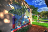 Gallery Photo of Our wall mural encourages the support of the group