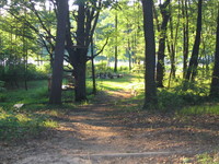 Gallery Photo of The path down to Sunfish Lake
