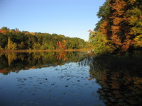 Gallery Photo of Sunfish Lake in the Fall