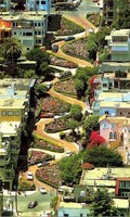 Gallery Photo of Lombard Street in San Francisco.