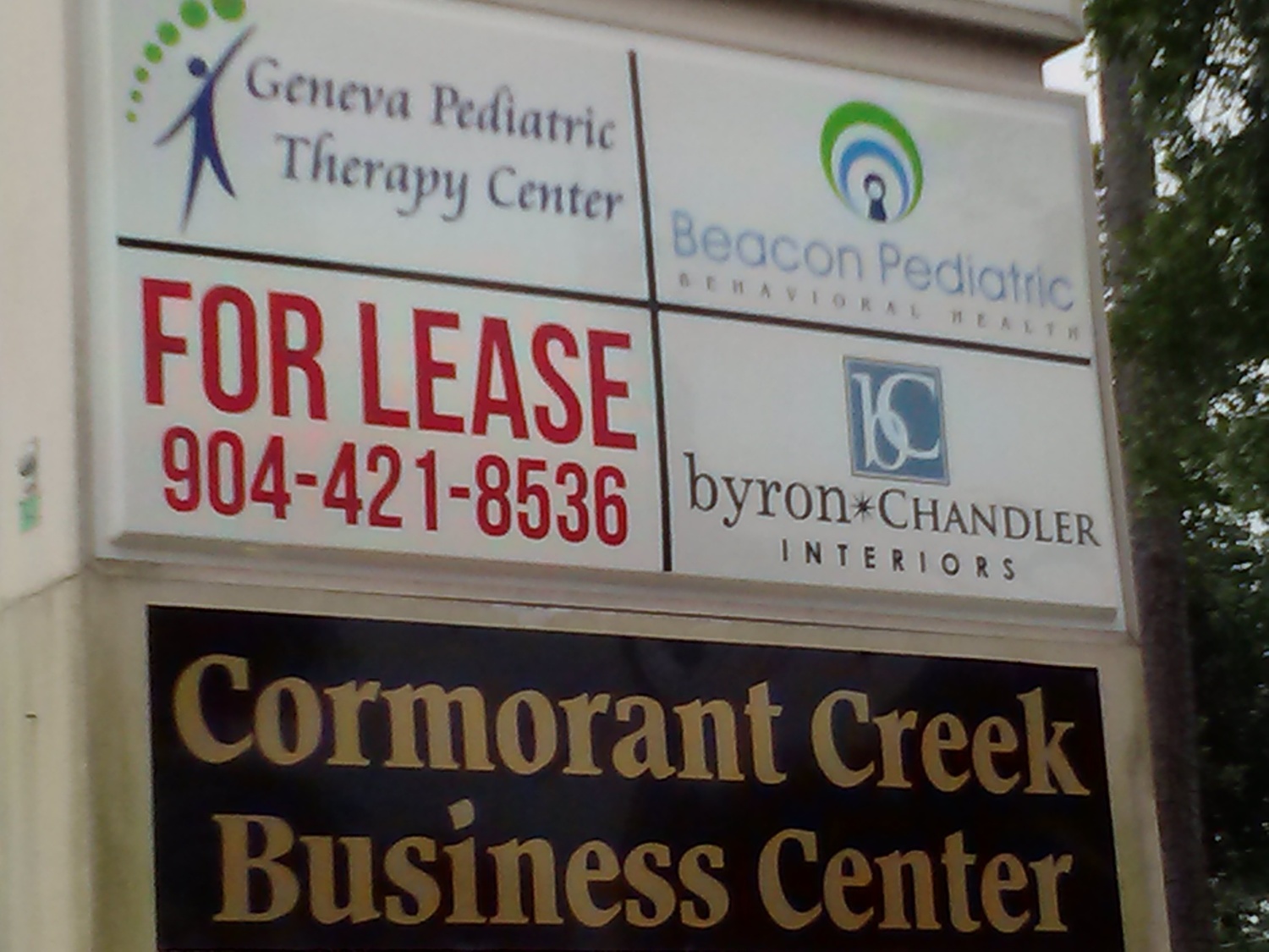 Dr. Adrienne DeSantis King, PhD, BCBAD, NCSP, Psychologist, Jacksonville, FL, 32216