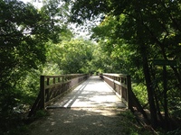 Gallery Photo of Fort Washington State Park nature trail - Directly across from the entrance to Elizabeth Venart's office at The Resiliency Center in Flourtown.