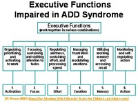 Gallery Photo of ADD, ADHD, ADD testing for adults, ADHD testing for adults, ADD testing for women, ADHD testing for women, ADD coaching, ADHD coaching, ADD counseling