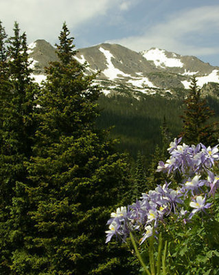 Photo of Mile High Behavioral Health - Mile High Behavioral Health, LLC