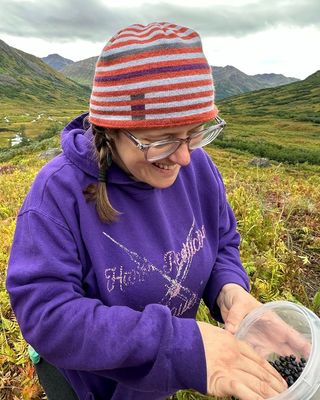 Photo of Julia Terry - Julia Terry at Linnaea Borealis Therapy, LLC, Clinical Social Work/Therapist, LCSW