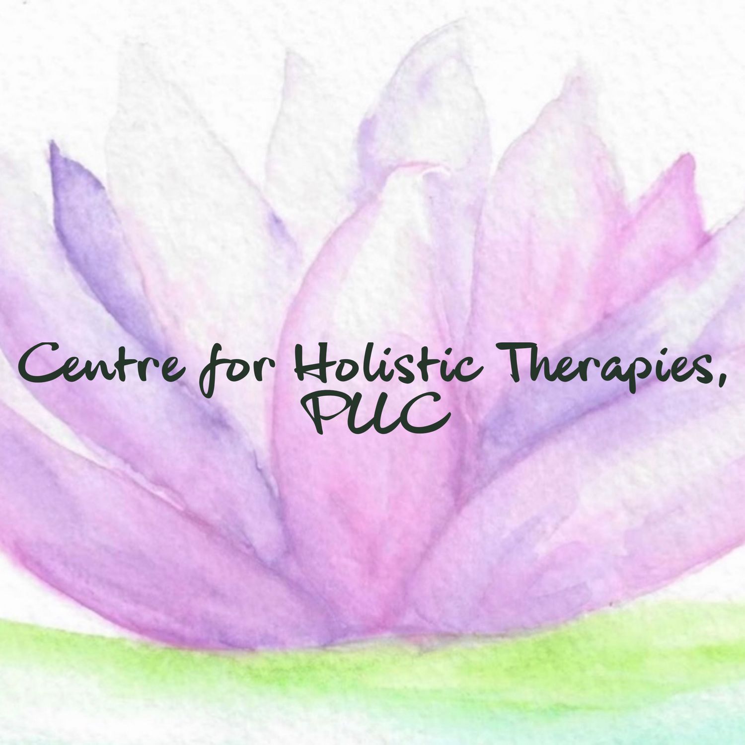 Centre for Holistic Therapies, PLLC, Clinical Social Work/Therapist