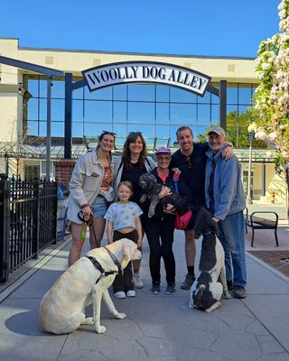 Photo of Alex Angioli - Alex Angioli Counselling and Therapy, Counsellor, STM, MA, RCC492