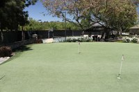 Gallery Photo of Men's House Putting Green