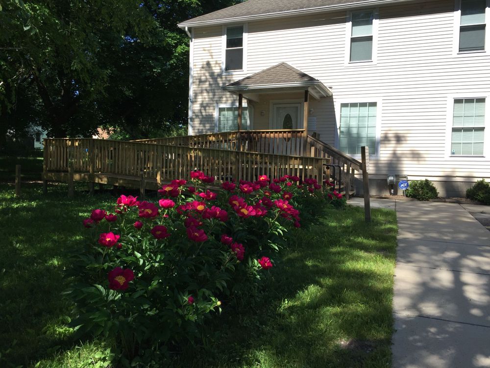 Assessment Psychology, Psychologist, Kalamazoo, MI, 49001 Psychology