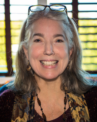 Photo of Nancy S Shapiro, Clinical Social Work/Therapist in Media, PA