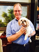 Gallery Photo of Greta, the dog therapist