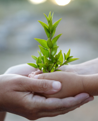 Alliance Counseling & The Center at Heron Hill