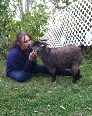 Photo of Marsha Menter, Counselor in Hampstead, NH