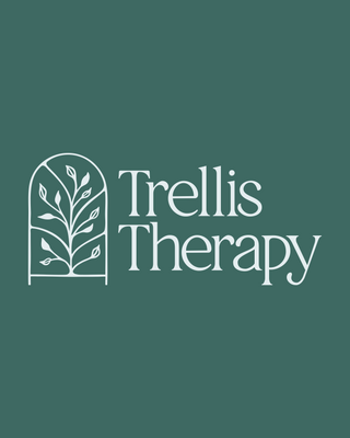 Photo of Taylor Holloman - Trellis Therapy, Marriage & Family Therapist Associate, MS, LMFTA